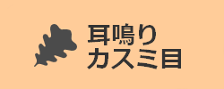 耳鳴り・カスミ目